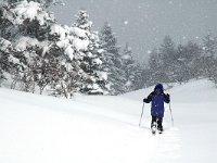 F, Isere, Gresse-en-Vercors, Menil 9, Saxifraga-Jan van der Straaten