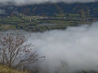 F, Isere, Gresse-en-Vercors, Monestier de Clermont 3, Saxifraga-Jan van der Straaten