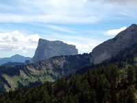 F, Isere, Gresse-en-Vercors, Mont Aiguille 10, Saxifraga-Jan van der Straaten