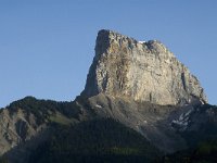 F, Isere, Gresse-en-Vercors, Mont Aiguille 12, Saxifraga-Jan van der Straaten