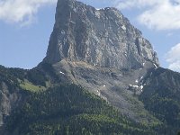 F, Isere, Gresse-en-Vercors, Mont Aiguille 21, Saxifraga-Marijke Verhagen