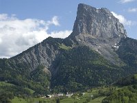 F, Isere, Gresse-en-Vercors, Mont Aiguille 26, Saxifraga-Marijke Verhagen