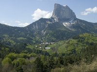 F, Isere, Gresse-en-Vercors, Mont Aiguille 30, Saxifraga-Marijke Verhagen