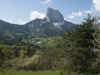 F, Isere, Gresse-en-Vercors, Mont Aiguille 31, Saxifraga-Jan van der Straaten