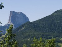 F, Isere, Gresse-en-Vercors, Mont Aiguille 40, Saxifraga-Willem van Kruijsbergen