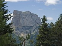 F, Isere, Gresse-en-Vercors, Mont Aiguille 42, Saxifraga-Willem van Kruijsbergen