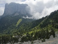 F, Isere, Gresse-en-Vercors, Mont Aiguille 48, Saxifraga-Willem van Kruijsbergen