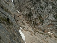 F, Isere, Gresse-en-Vercors, Pas de Berrieves 1, Saxifraga-Willem van Kruijsbergen