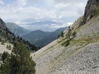 F, Isere, Gresse-en-Vercors, Pas de la Selle 13, Saxifraga-Willem van Kruijsbergen