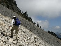 F, Isere, Gresse-en-Vercors, Pas de la Selle 2, Saxifraga-Jan van der Straaten