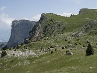 F, Isere, Gresse-en-Vercors, Pas de la Selle 22, Saxifraga-Willem van Kruijsbergen