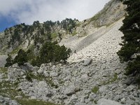 F, Isere, Gresse-en-Vercors, Pas de la Selle 33, Saxifraga-Willem van Kruijsbergen