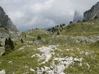 F, Isere, Gresse-en-Vercors, Pas de la Selle 35, Saxifraga-Willem van Kruijsbergen