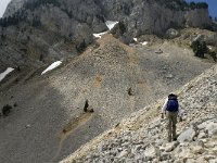 F, Isere, Gresse-en-Vercors, Pas de la Selle 4, Saxifraga-Jan van der Straaten