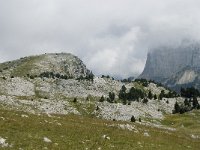 F, Isere, Gresse-en-Vercors, Pas de la Selle 42, Saxifraga-Willem van Kruijsbergen