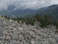 F, Isere, Gresse-en-Vercors, Pas de la Selle 43, Saxifraga-Willem van Kruijsbergen