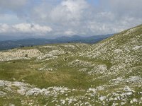 F, Isere, Gresse-en-Vercors, Pas de la Selle 44, Saxifraga-Willem van Kruijsbergen