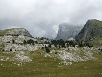 F, Isere, Gresse-en-Vercors, Pas de la Selle 47, Saxifraga-Willem van Kruijsbergen