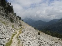 F, Isere, Gresse-en-Vercors, Pas de la Selle 49, Saxifraga-Willem van Kruijsbergen