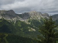 F, Isere, Gresse-en-Vercors, Pas de la Ville 12, Saxifraga-Willem van Kruijsbergen