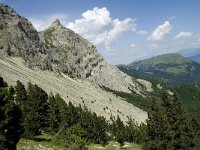 F, Isere, Gresse-en-Vercors, Pas des Bachassons 23, Saxifraga-Willem van Kruijsbergen