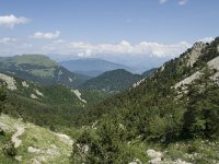 F, Isere, Gresse-en-Vercors, Pas des Bachassons 25, Saxifraga-Willem van Kruijsbergen