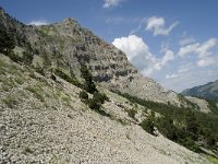 F, Isere, Gresse-en-Vercors, Pas des Bachassons 27, Saxifraga-Willem van Kruijsbergen