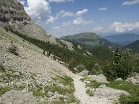 F, Isere, Gresse-en-Vercors, Pas des Bachassons 28, Saxifraga-Willem van Kruijsbergen