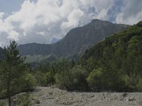 F, Isere, Gresse-en-Vercors, Pas des Bachassons 31, Saxifraga-Willem van Kruijsbergen