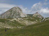 F, Isere, Gresse-en-Vercors, Pas des Bachassons 33, Saxifraga-Willem van Kruijsbergen