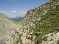 F, Isere, Gresse-en-Vercors, Pas des Bachassons 39, Saxifraga-Willem van Kruijsbergen