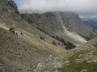 F, Isere, Gresse-en-Vercors, Pas des Bachassons 47, Saxifraga-Willem van Kruijsbergen