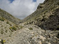 F, Isere, Gresse-en-Vercors, Pas des Bachassons 49, Saxifraga-Willem van Kruijsbergen