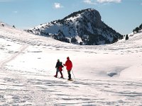 F, Isere, Gresse-en-Vercors, Pas des Chattons 2, Saxifraga-Jan van der Straaten