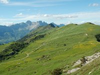 F, Isere, Gresse-en-Vercors, Pas du Serpaton 21, Saxifraga-Willem van Kruijsbergen