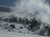 F, Isere, Gresse-en-Vercors, Pas du Serpaton 32, Saxifraga-Jan van der Straaten