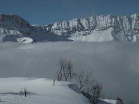 F, Isere, Gresse-en-Vercors, Pas du Serpaton 33, Saxifraga-Jan van der Straaten