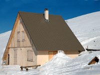 F, Isere, Gresse-en-Vercors, Pas du Serpaton 5, Saxifraga-Jan van der Straaten