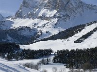 F, Isere, Gresse-en-Vercors, Pierre Blanche 11, Saxifraga-Jan van der Straaten