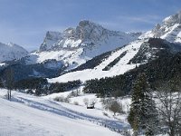 F, Isere, Gresse-en-Vercors, Pierre Blanche 14, Saxifraga-Jan van der Straaten