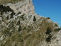 F, Isere, Gresse-en-Vercors, Pierre Blanche 6, Saxifraga-Marijke Verhagen