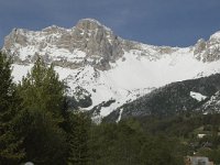 F, Isere, Gresse-en-Vercors, Pierre Blanche 7, Saxifraga-Jan van der Straaten