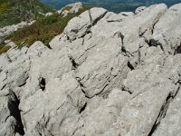 F, Isere, Gresse-en-Vercors, Roc de Cogniere 1, Saxifraga-Willem van Kruijsbergen