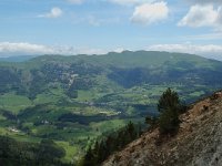 F, Isere, Gresse-en-Vercors, Rocher du Baconnet 4, Saxifraga-Willem van Kruijsbergen