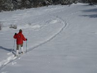 F, Isere, Gresse-en-Vercors, Serpaton 6, Saxifraga-Jan van der Straaten