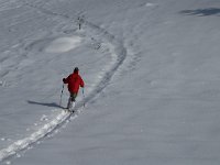 F, Isere, Gresse-en-Vercors, Serpaton 7, Saxifraga-Jan van der Straaten