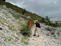 F, Isere, Gresse-en-Vercors, Sous le Seguret 6, Saxifraga-Jan van der Straaten