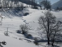 F, Isere, Gresse-en-Vercors, Uclaire 10, Saxifraga-Jan van der Straaten