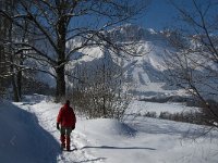 F, Isere, Gresse-en-Vercors, Uclaire 11, Saxifraga-Jan van der Straaten