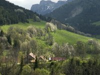 F, Isere, Gresse-en-Vercors, Uclaire 6, Saxifraga-Jan van der Straaten